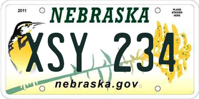 NE license plate XSY234