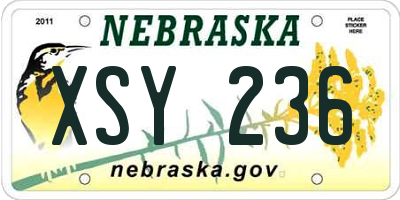 NE license plate XSY236