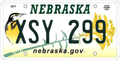 NE license plate XSY299