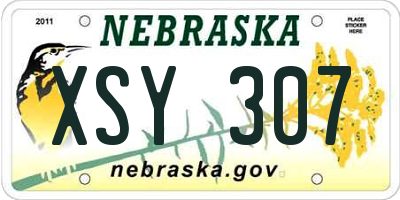 NE license plate XSY307