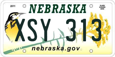 NE license plate XSY313