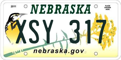 NE license plate XSY317