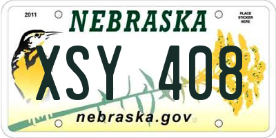 NE license plate XSY408