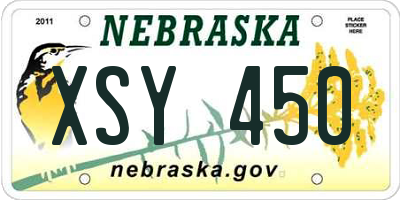 NE license plate XSY450