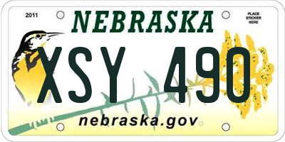 NE license plate XSY490