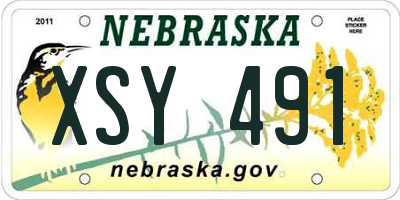 NE license plate XSY491