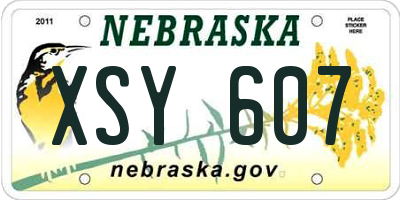 NE license plate XSY607