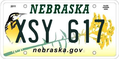 NE license plate XSY617