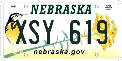 NE license plate XSY619