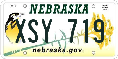 NE license plate XSY719