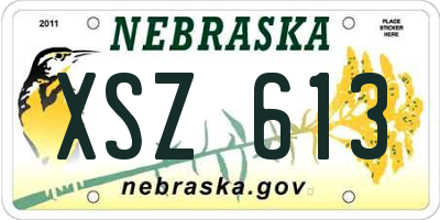 NE license plate XSZ613