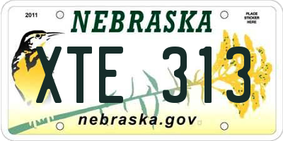 NE license plate XTE313