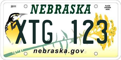 NE license plate XTG123