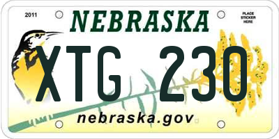 NE license plate XTG230