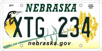 NE license plate XTG234