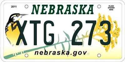 NE license plate XTG273