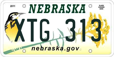 NE license plate XTG313