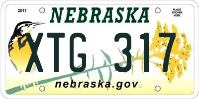 NE license plate XTG317