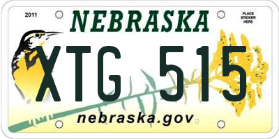 NE license plate XTG515
