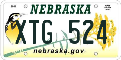 NE license plate XTG524