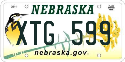 NE license plate XTG599
