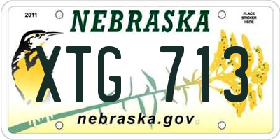 NE license plate XTG713