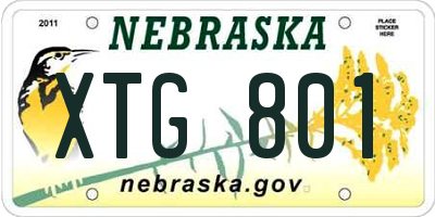 NE license plate XTG801