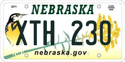 NE license plate XTH230