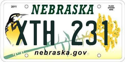 NE license plate XTH231