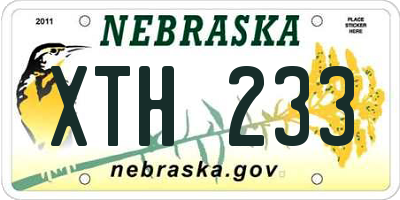 NE license plate XTH233