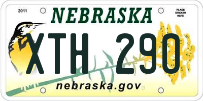 NE license plate XTH290