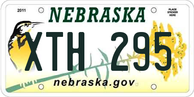 NE license plate XTH295