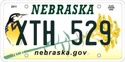 NE license plate XTH529