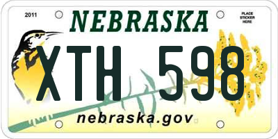 NE license plate XTH598