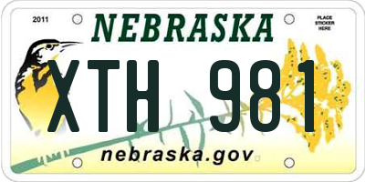 NE license plate XTH981