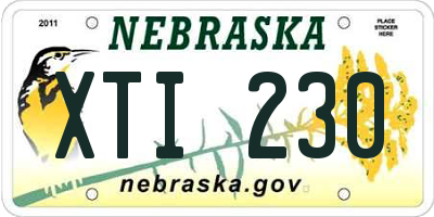 NE license plate XTI230