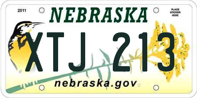 NE license plate XTJ213
