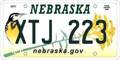 NE license plate XTJ223