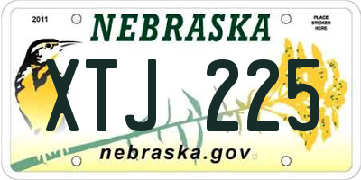 NE license plate XTJ225