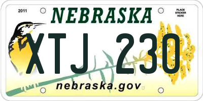 NE license plate XTJ230