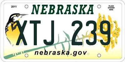 NE license plate XTJ239