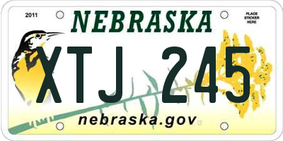 NE license plate XTJ245