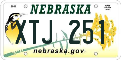 NE license plate XTJ251