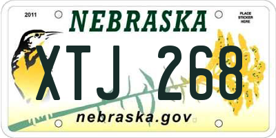 NE license plate XTJ268