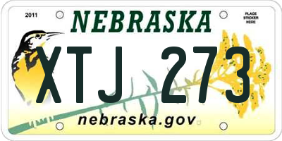 NE license plate XTJ273