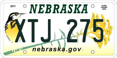 NE license plate XTJ275