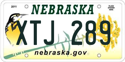 NE license plate XTJ289