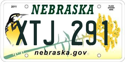 NE license plate XTJ291