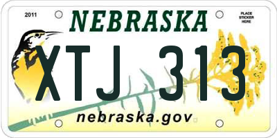 NE license plate XTJ313