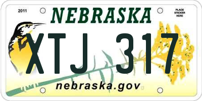 NE license plate XTJ317